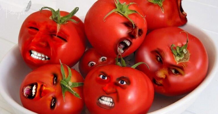 80+Tomato Puns and Jokes