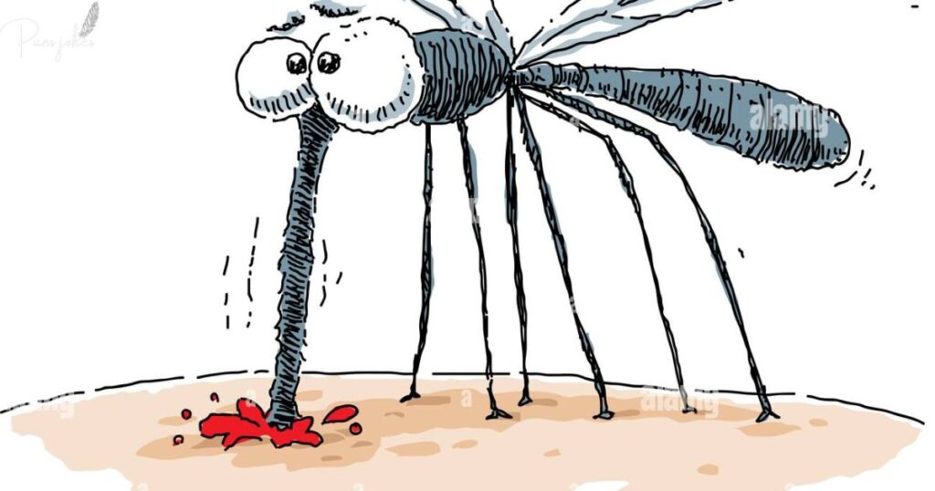 Hilarious Jokes About Mosquitoes