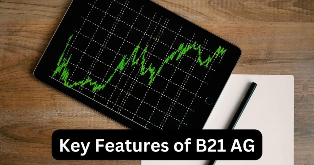 Key Features of B21 AG
